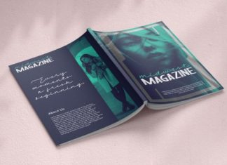Stelena Script Font preview image 2