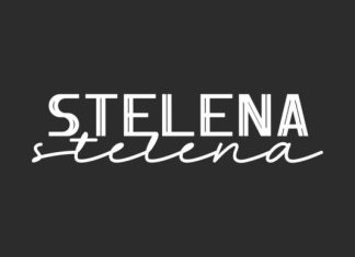 Stelena Script Font preview image 1