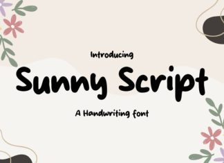 Sunny Script Font preview image 1