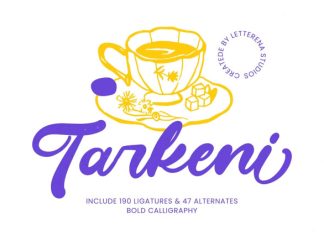 Tarkeni Font preview image 1