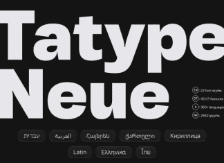 Tatype Neue Font Family preview image 1
