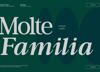 TBJ Moltefamilia Font preview image 1