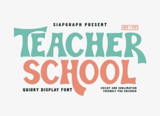 Teacher School Display Font preview image 1