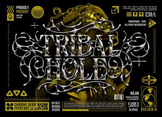 Tribal Hole Font preview image 1