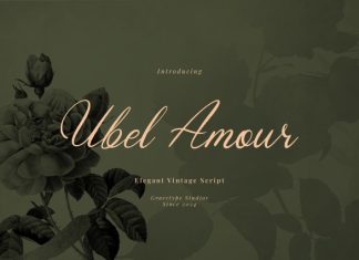 Ubel Amour Handwritten Font preview image 1