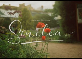 Veloncy Claus Script Font preview image 2
