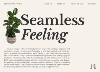 Vescura Font preview image 3