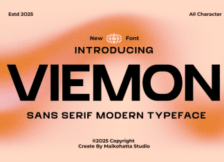 Viemon Font preview image 1
