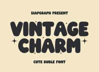 Vintage Charm Font preview image 1