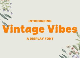 Vintage Vibes Font preview image 1