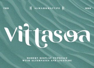 Vittasoa Font preview image 1