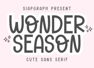 Wonder Season Script Font preview image 3