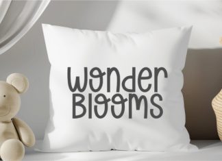Wonder Season Script Font preview image 2