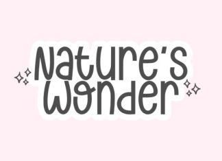 Wonder Season Script Font preview image 1