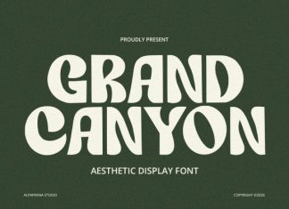 Grand Canyon – Display Font preview image 1