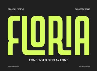 Floria – Display Font preview image 1