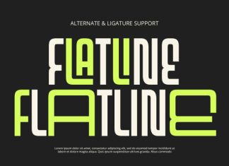 Floria – Display Font preview image 2
