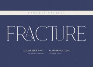 Fracture – Serif Font preview image 1
