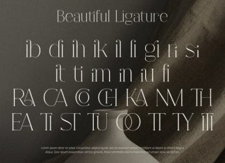 Fracture – Serif Font preview image 3