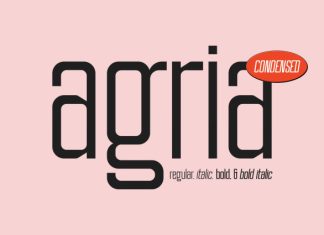 Agria Condensed Font preview image 1