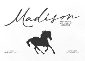 Always Classy – Elegant Handwritten Script Font preview image 2