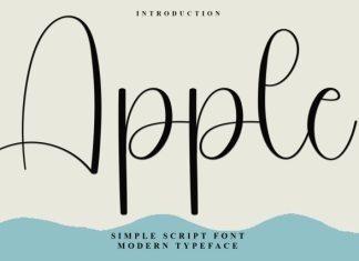 Apple Handwritten Font  preview image 1