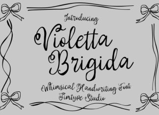 Violetta Brigida Font preview image 1