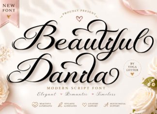 Beautiful Danila Font preview image 1