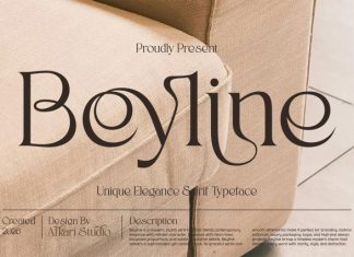 Beyline – Unique Elegance Serif Typeface Font preview image 1