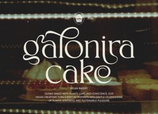 Beyline – Unique Elegance Serif Typeface Font preview image 2