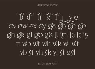Beyline – Unique Elegance Serif Typeface Font preview image 3