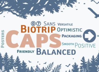 Biotrip Sans Caps Font preview image 1