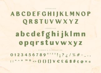 Bisque Velouté – Retro Font preview image 2
