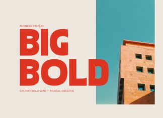 Blonkra – Chunky Bold Display Sans Font preview image 3