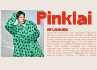 Blonkra – Chunky Bold Display Sans Font preview image 2