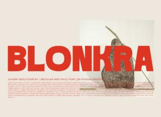 Blonkra – Chunky Bold Display Sans Font preview image 1