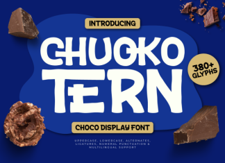 Chuoko Tern – Choco Display Font preview image 1
