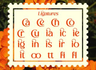 Cranio – Modern Sans Serif Display Font preview image 3