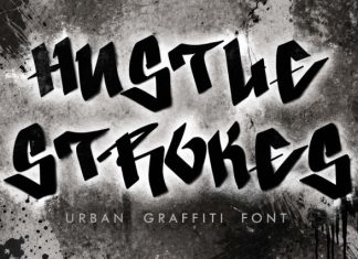 Hustle Strokes Font preview image 1