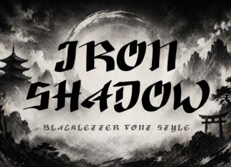 Iron Shadow Font preview image 1