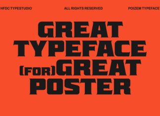 Poizem Serif Typeface Font preview image 3