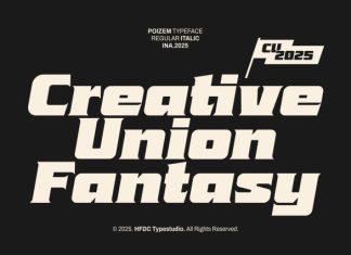 Poizem Serif Typeface Font preview image 2