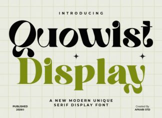 Quowist Display – Modern Unique Serif Display Font preview image 1