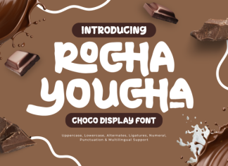Rocha Youcha – Choco Display Font preview image 1