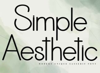 Simple Aesthetic Font preview image 1