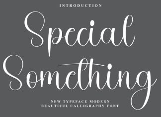 Special Something Font preview image 1