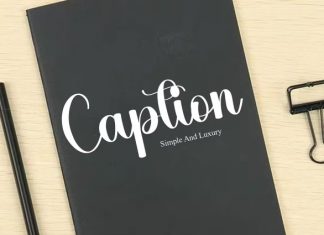 Springday Calligraphy Font preview image 3