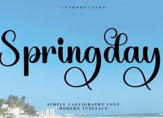 Springday Calligraphy Font preview image 1