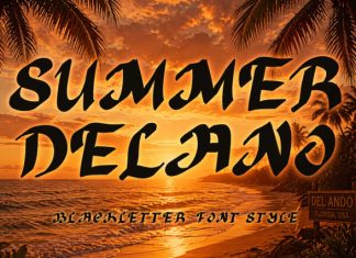 Summer Delano Font preview image 1