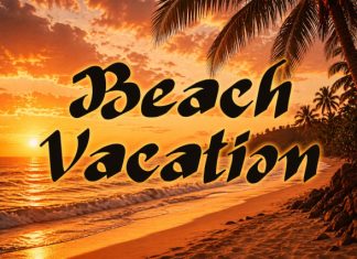 Summer Delano Font preview image 2
